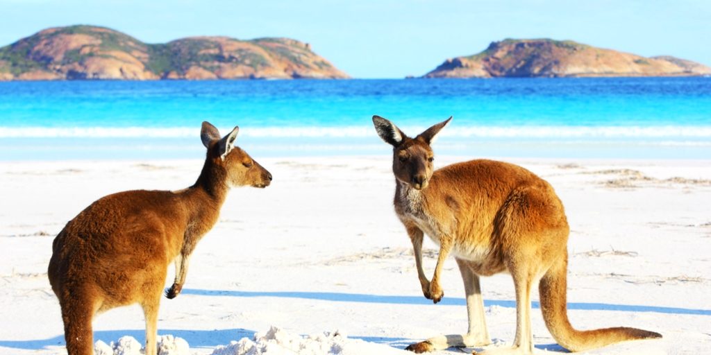 Australien Urlaub