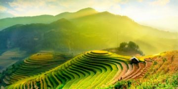 Vietnam im Februar