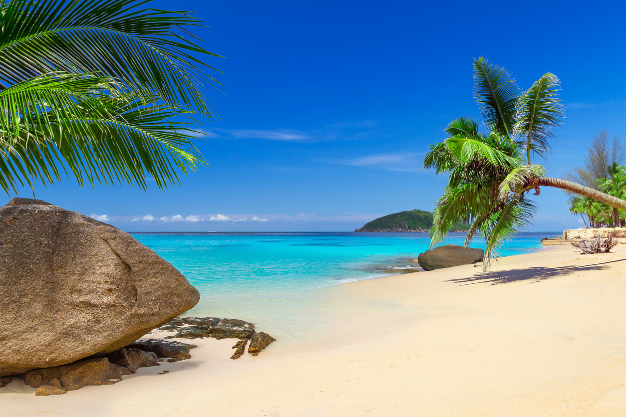 Top Urlaub 2019 Top urlaub 2019