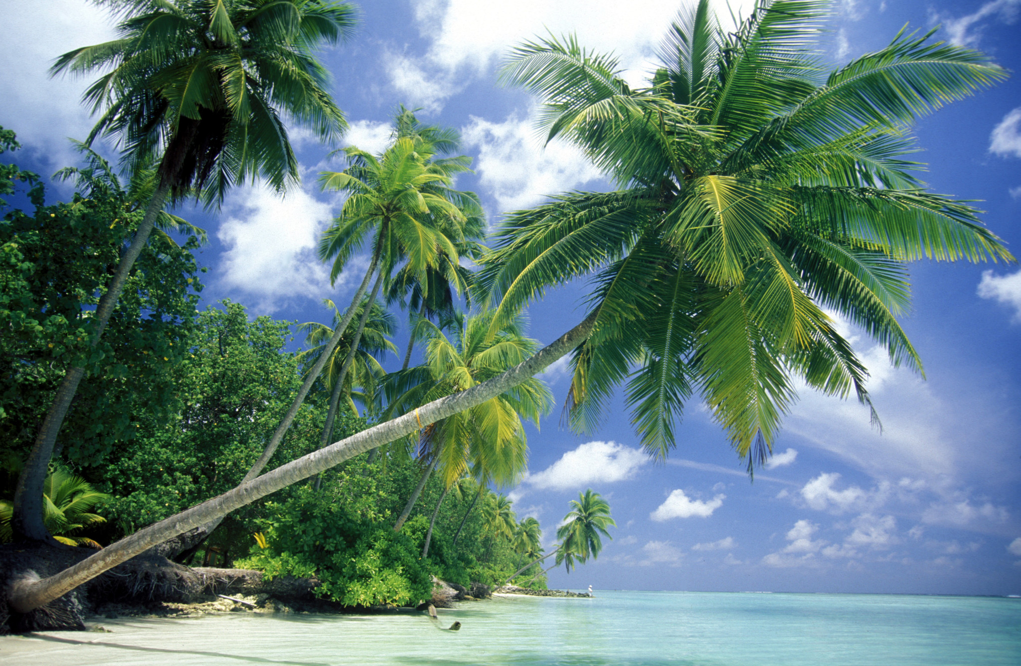 Urlaub im April 2026 - die besten April Reiseziele im Überblick