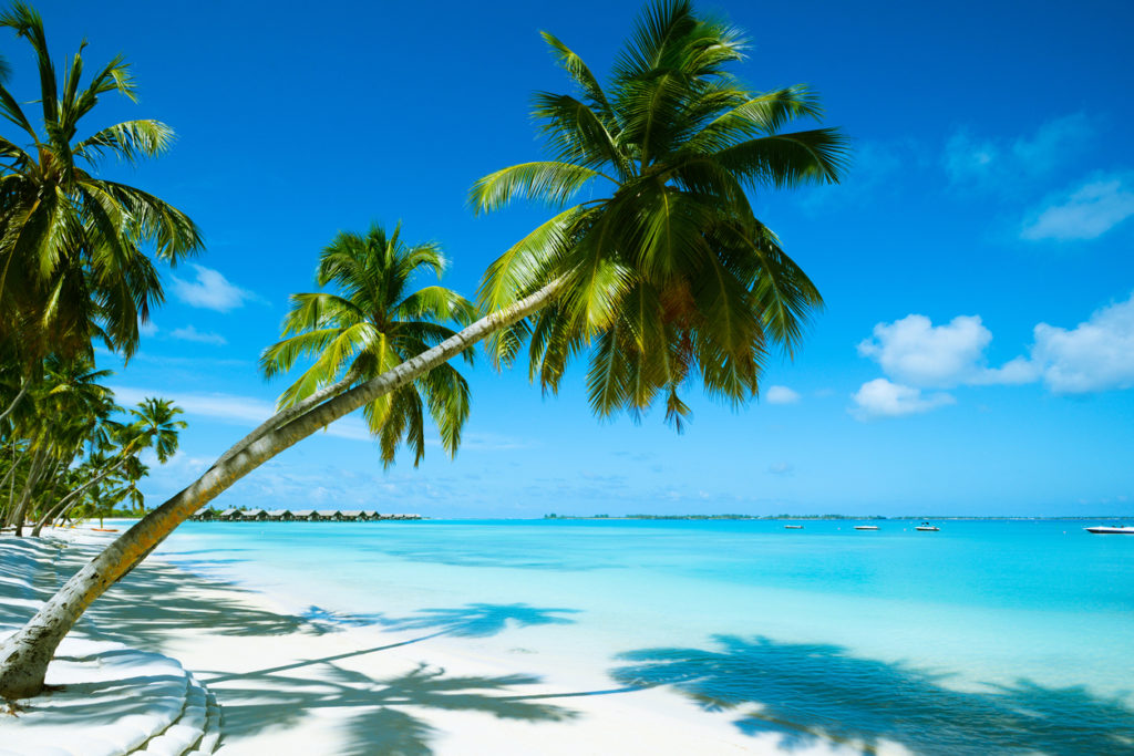 Beste Reisezeit Karibik optimale Monate, Klimatabelle & Wetter