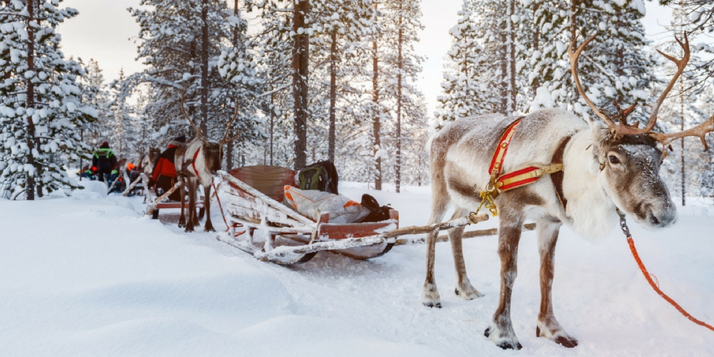 lappland-finnland-schlitten-winter