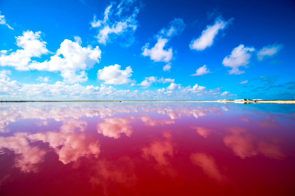 Las Coloradas in Mexiko der wohl schönste See der Welt
