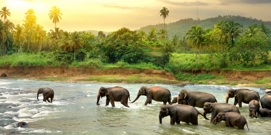 Ausnahmezustand in Sri Lanka alle Infos für eure Reise