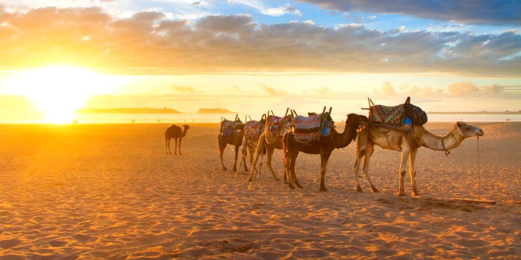 Marokko Reise 1 Woche inklusive Flügen und gutem Hotel schon für 133€