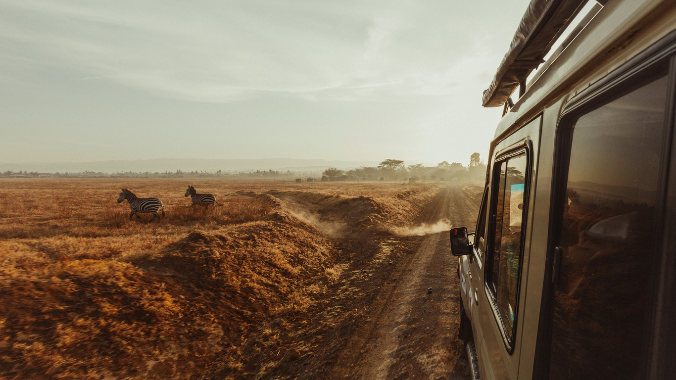 Südafrika Safari: 8 Tage mit 5* Luxusunterkunft inklusive Vollpension, Flug, Transfer & Safaris nur 1.069€
