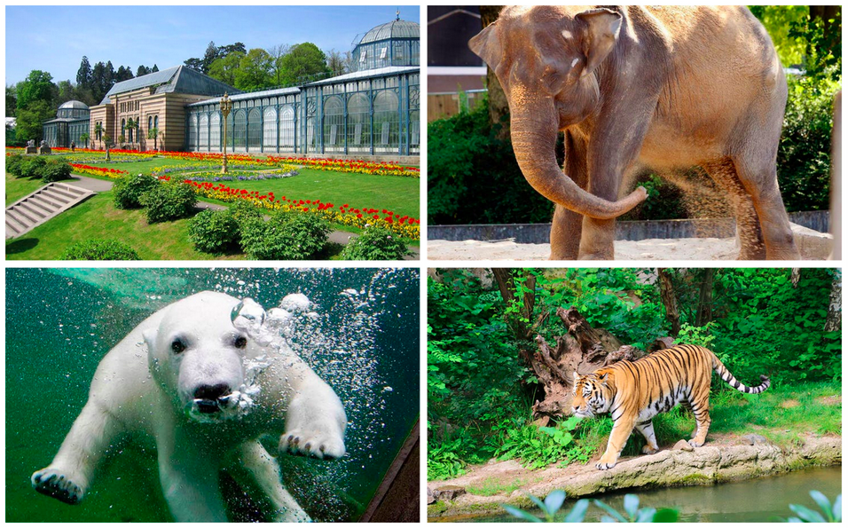 Stuttgarter Zoo 2 Tage im top Hotel inklusive Eintritt, Frühstück und Parkplatz schon für 49€