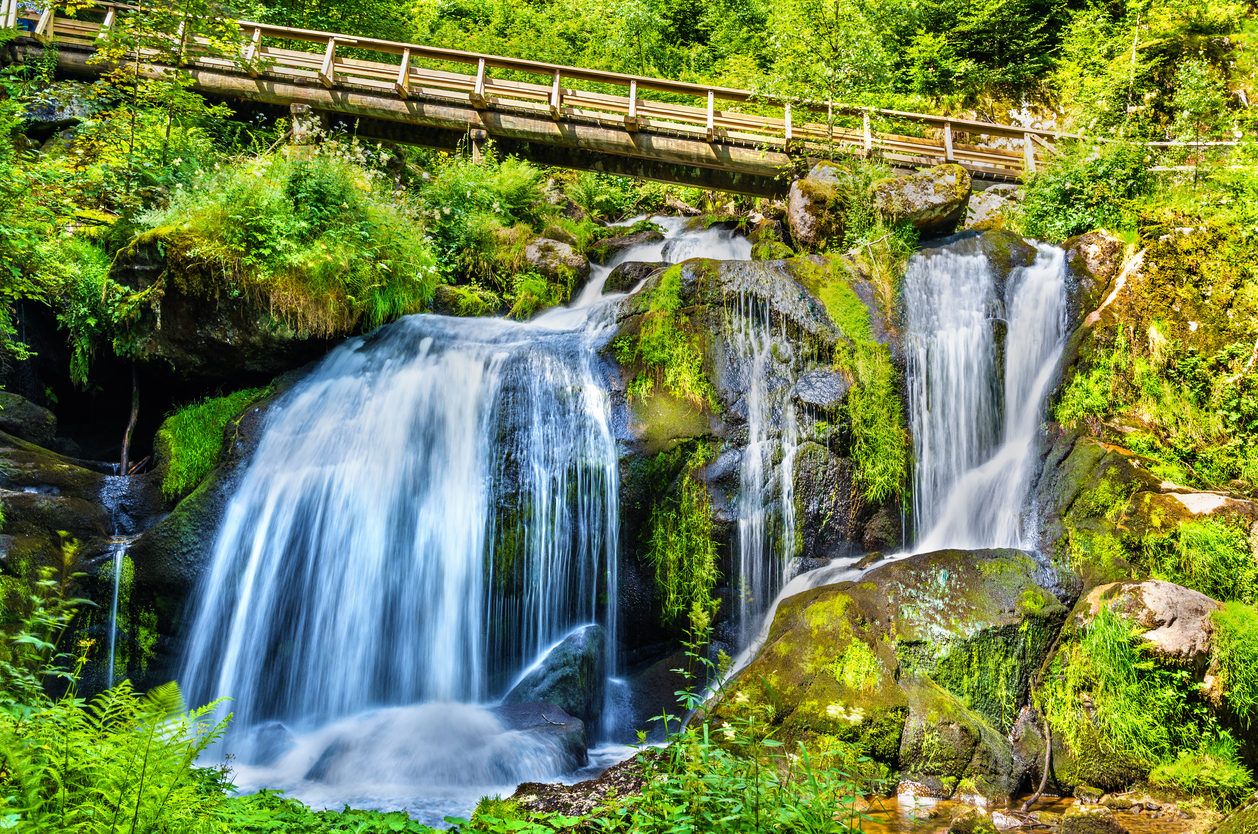iStock 615104344