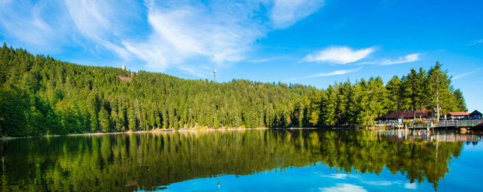 Auszeit Im Schwarzwald 2 e Im Tiny House Fur Nur 81