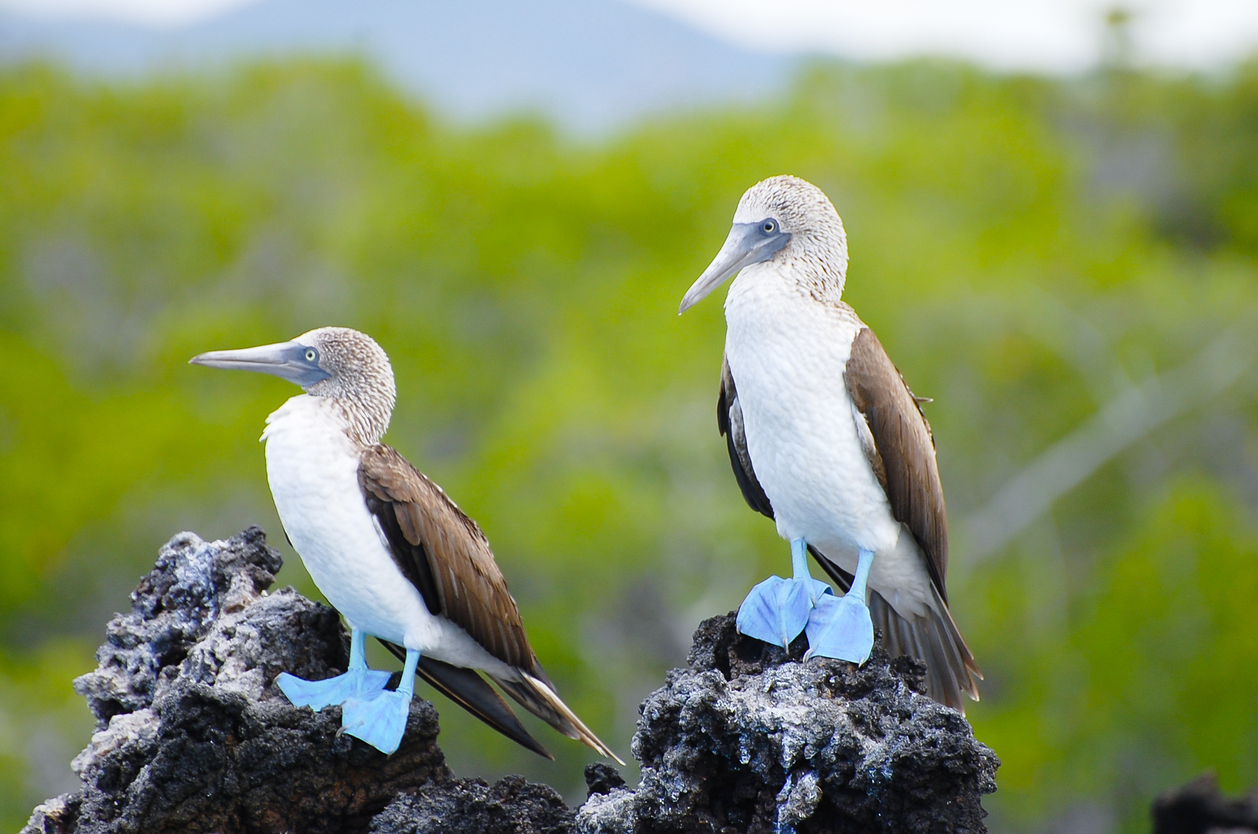 Galapagos Inselhopping