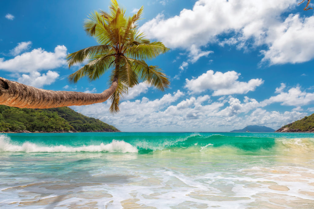 Urlaub auf Jamaika
