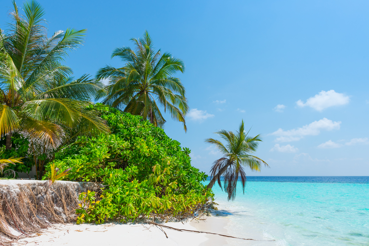 Urlaub auf Guadaloupe