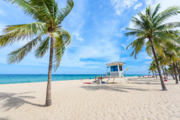 Florida im Januar