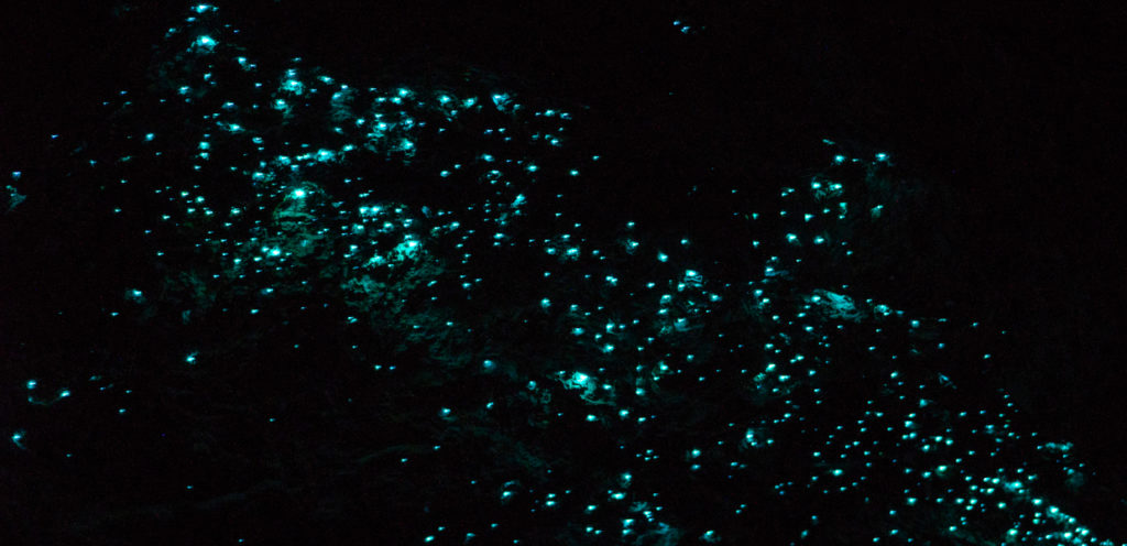 Sea of Stars: leuchtendes Meer auf den Malediven