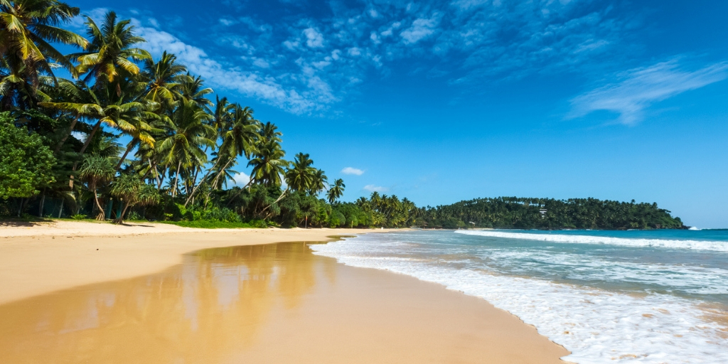 Sri Lanka Urlaub: die günstigsten Angebote & Urlaubsschnäppchen