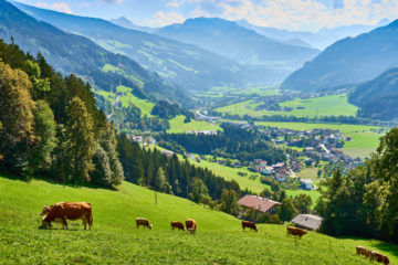 Tirol im Juni