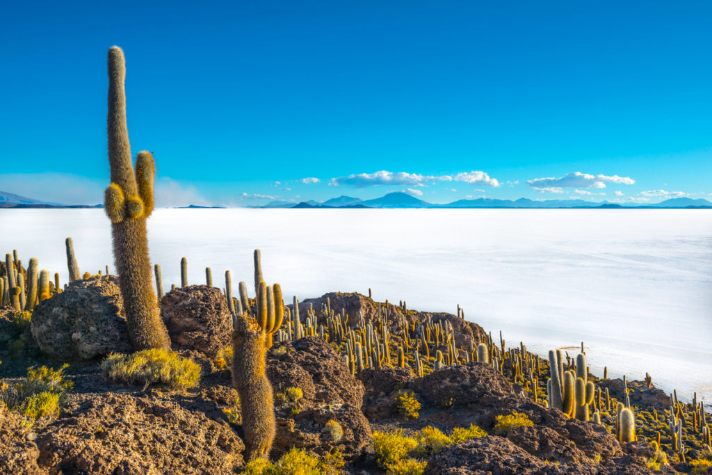 El Sazonar de Uyuni en Bolivia
