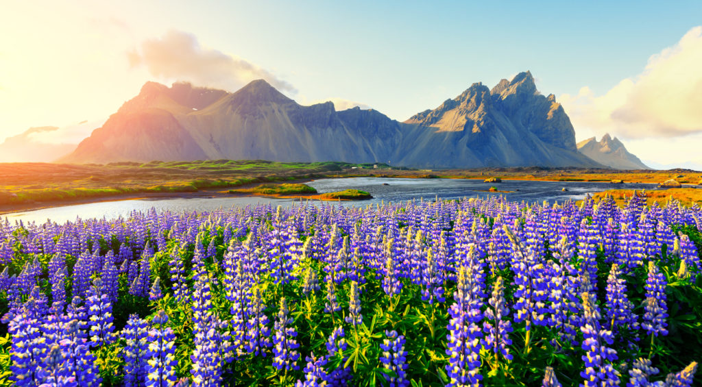 Islands Landschaft - Urlaubsziel für den Sommer 2020