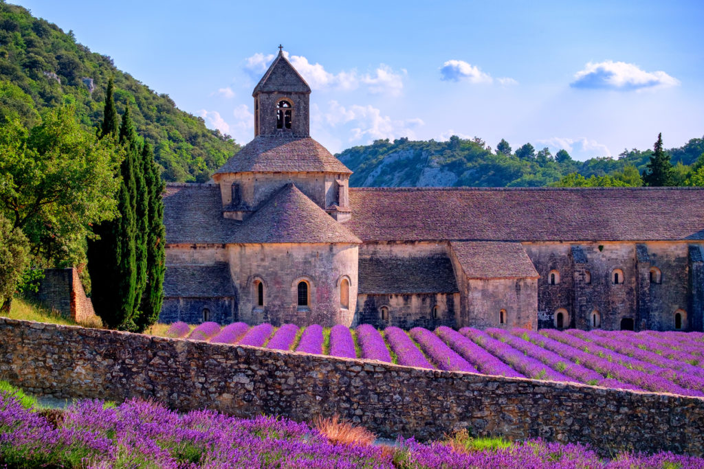 Lavendelblüte am Kloster von Sénanque, Frankreich