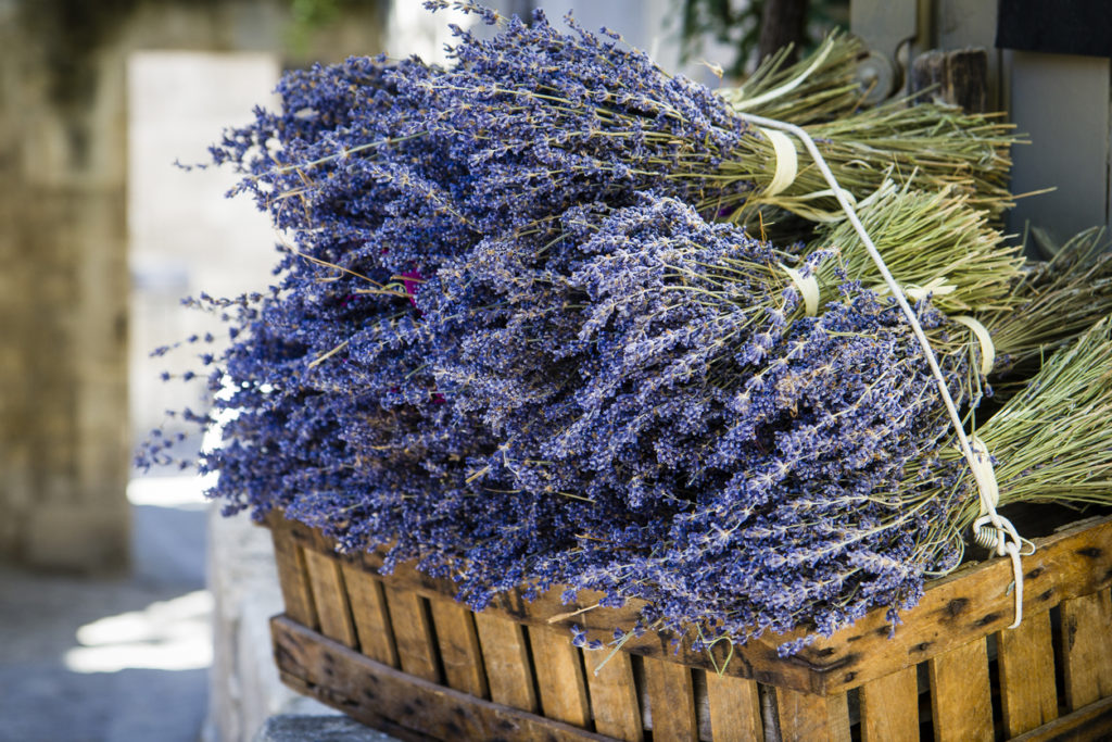 Getrocknete Lavendelbündel aus der Provence