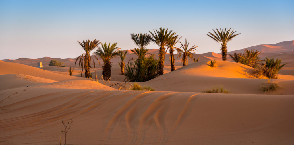 Marokko Tipps Der optimale Guide für einen Urlaub im Orient