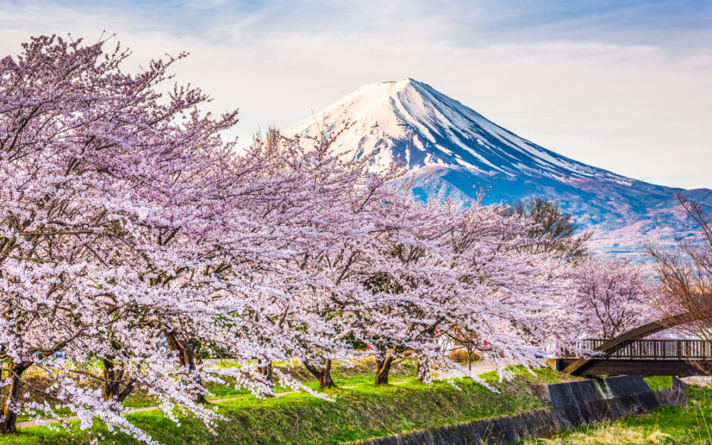 Beste Reisezeit Japan - Urlaub im Land der aufgehenden Sonne