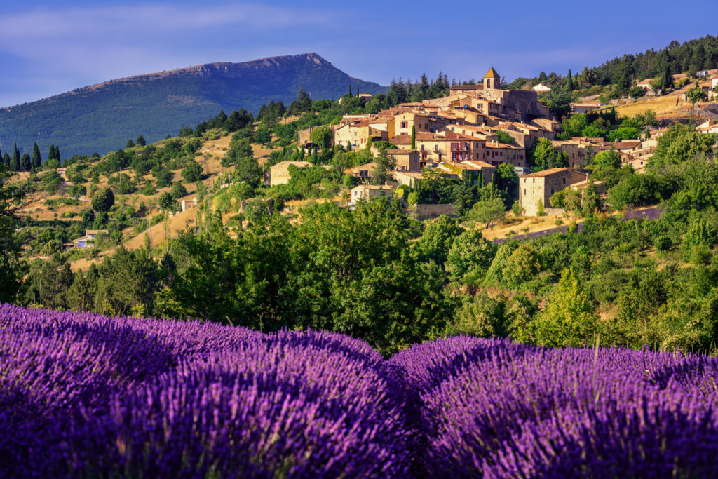 Gemeinde Sault zur Lavendelblüte in der Provence