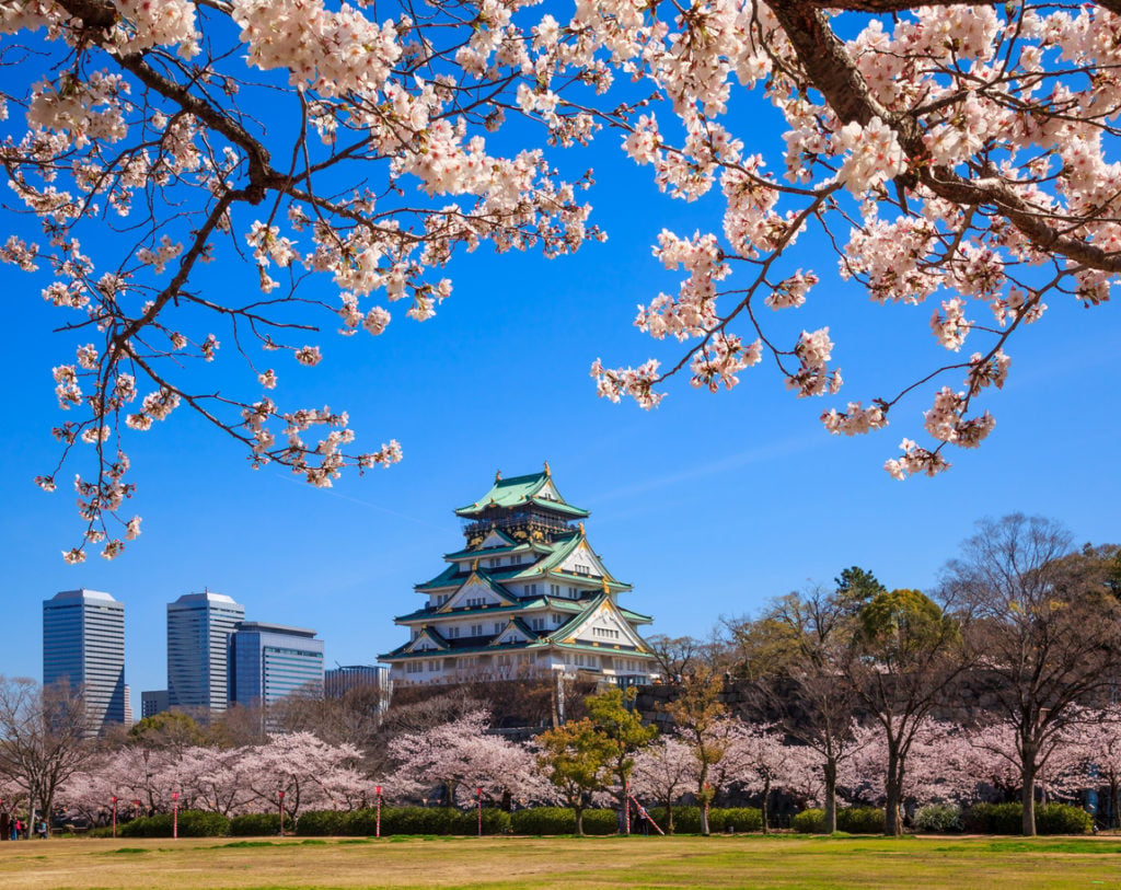 Schloss von Osaka inmitten der Kirschblüte, Japan