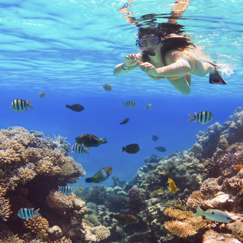 Urlaubsorte in Ägypten für Schnorcheln