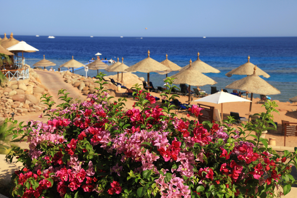 Wetter in Hurghada - Die beste Reisezeit für einen Urlaub am Roten Meer