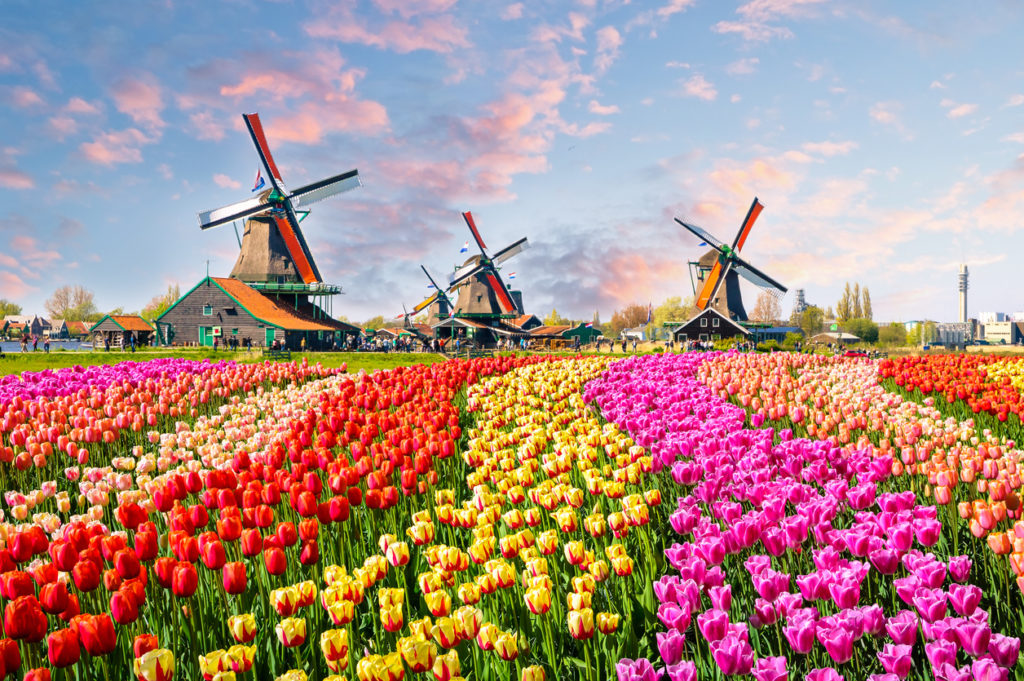 Windmühlen in Südholland, Niederlande