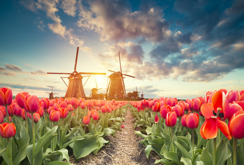 Beste Reisezeit Holland - sonniger Urlaub im tollen Nachbarland