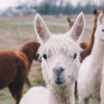 2 Tage inkl. Unterkunft & Extras