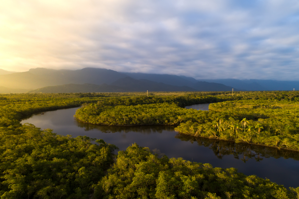 Regenwald von Kolumbien