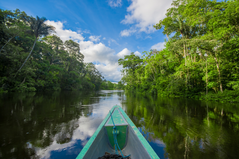 Amazonas Dschungel in Ecuador