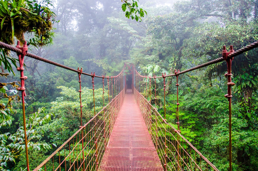 Regenwald von Costa Rica