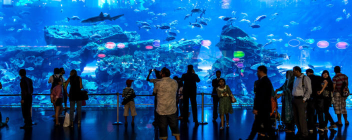 Dubai Aquarium Tickets Preise Offnungszeiten Infos Reiseuhu De