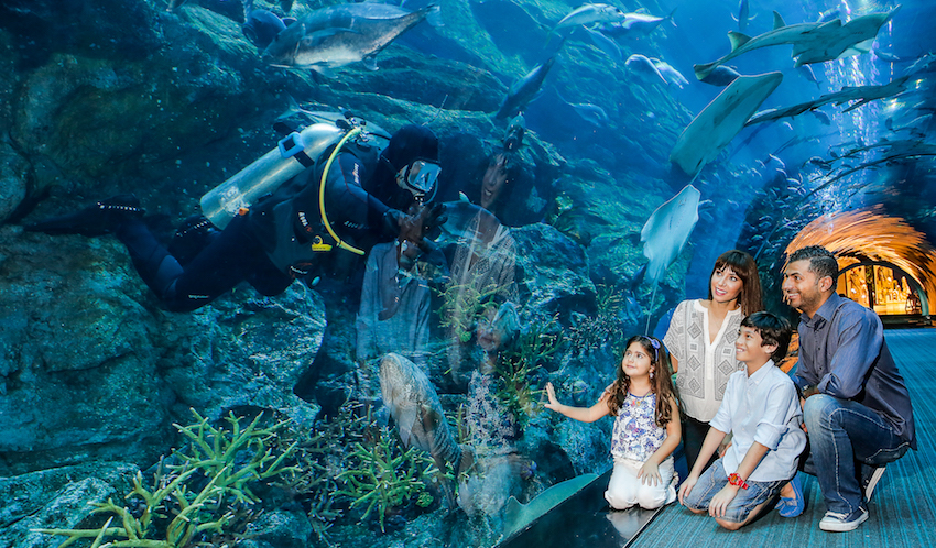 Dubai Aquarium Familienbesuch mit Kindern