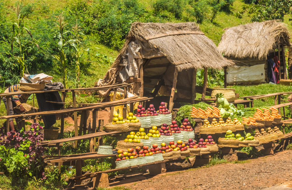 Früchte- und Gemüsestand auf Madagaskar