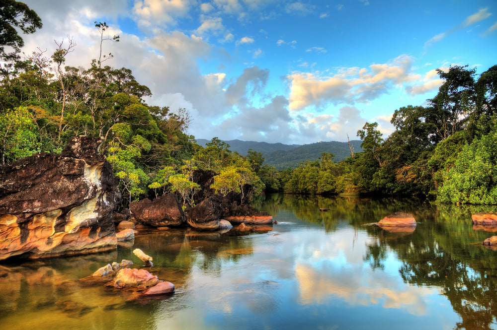 Regenwald im Masoala Nationalpark, Madagaskar