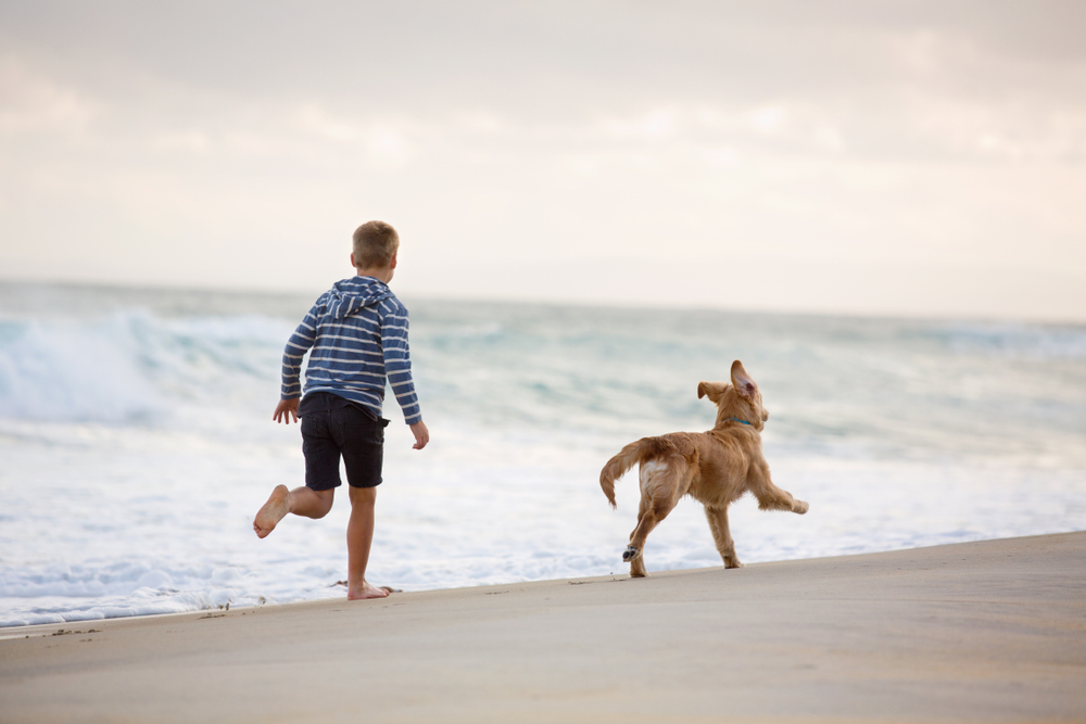 Kind und Hund laufen am Strand