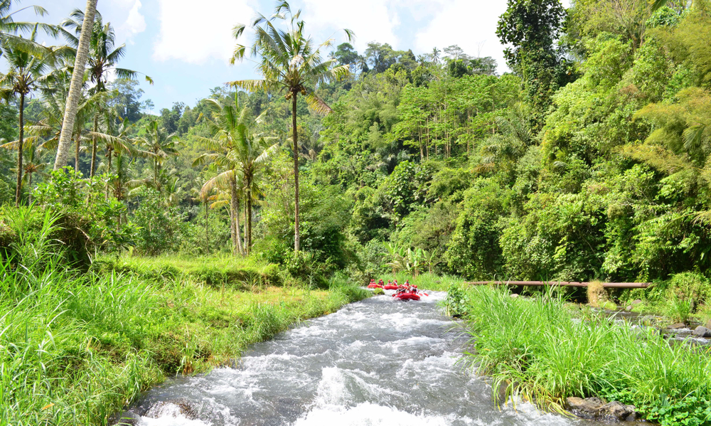 Rafting auf dem Ayung River, Bali