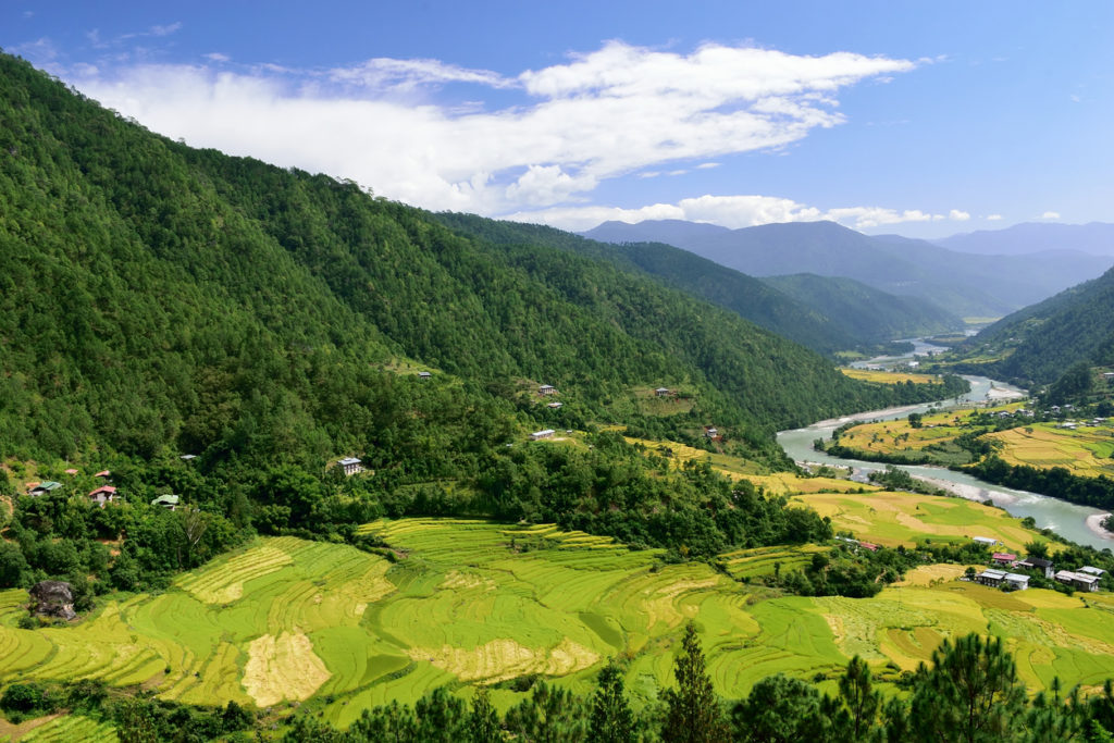Terrassenfelder in Punakha in Bhutan