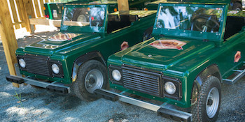 Mini Safari