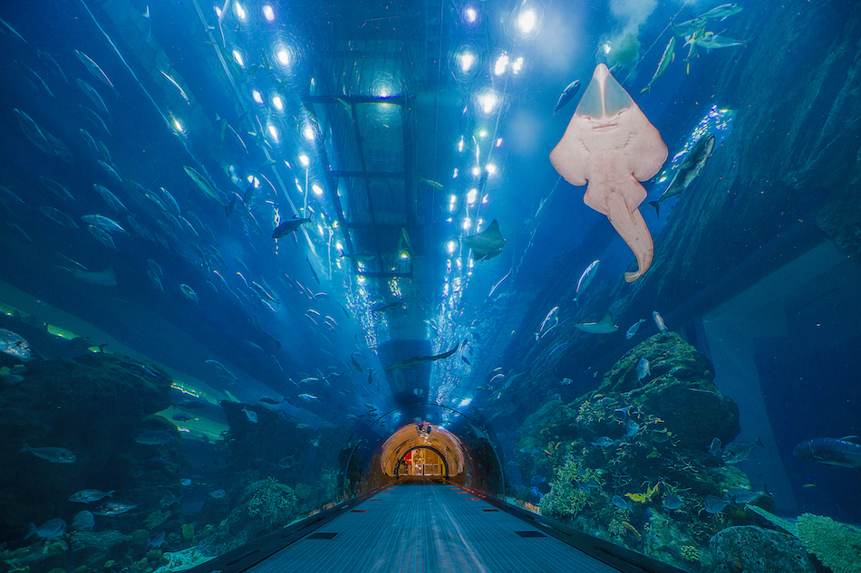 underwasser tunnel leer