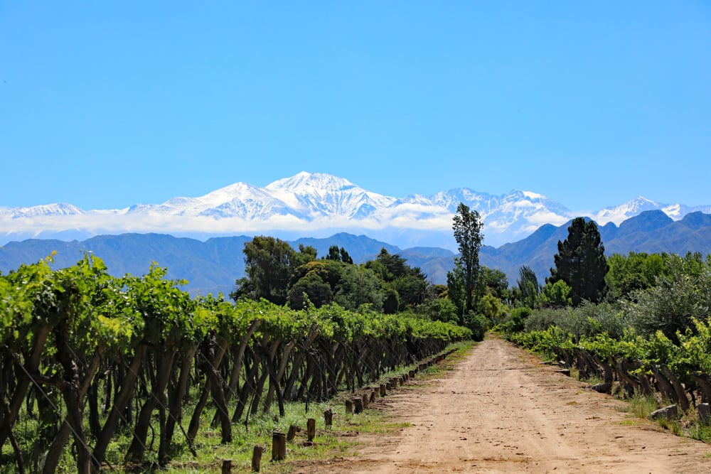 Weinanbauregion in Zentralargentinien