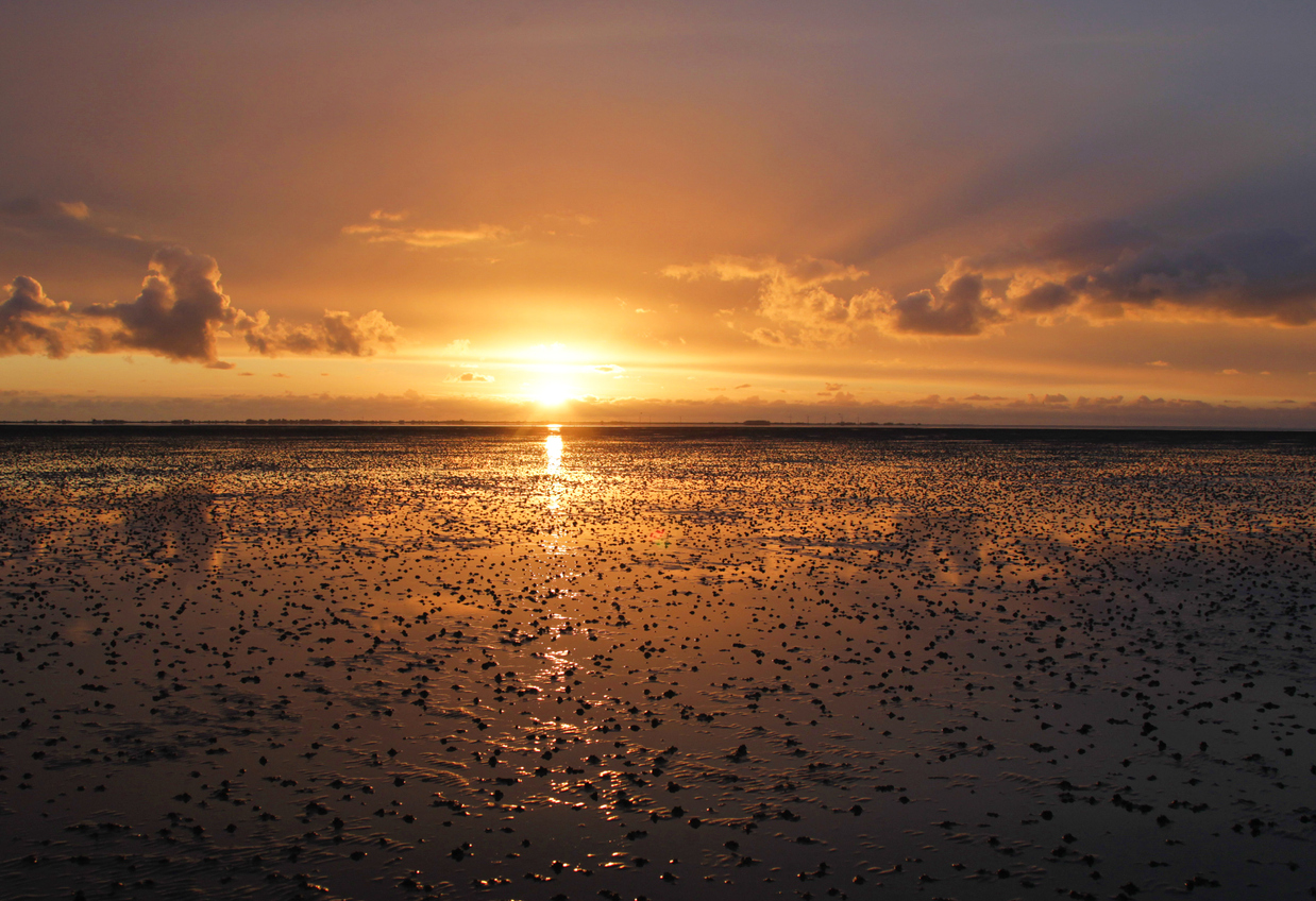 Sonnenuntergang am Wettenmeer auf Ameland, Holland
