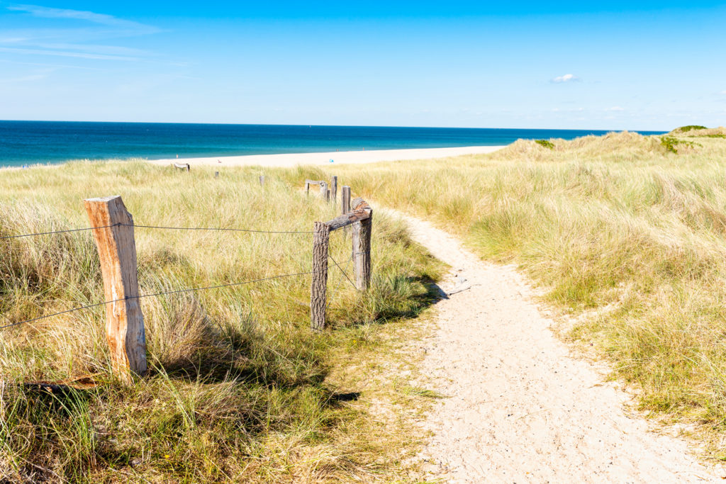Naturbelassene Dünenlandschaft auf Sylt, Nordsee