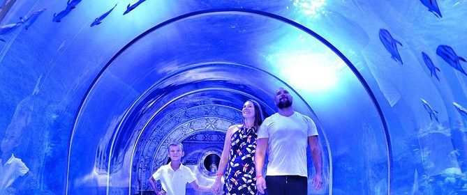 Unterwassertunnel im Hurghada Grand Aquarium