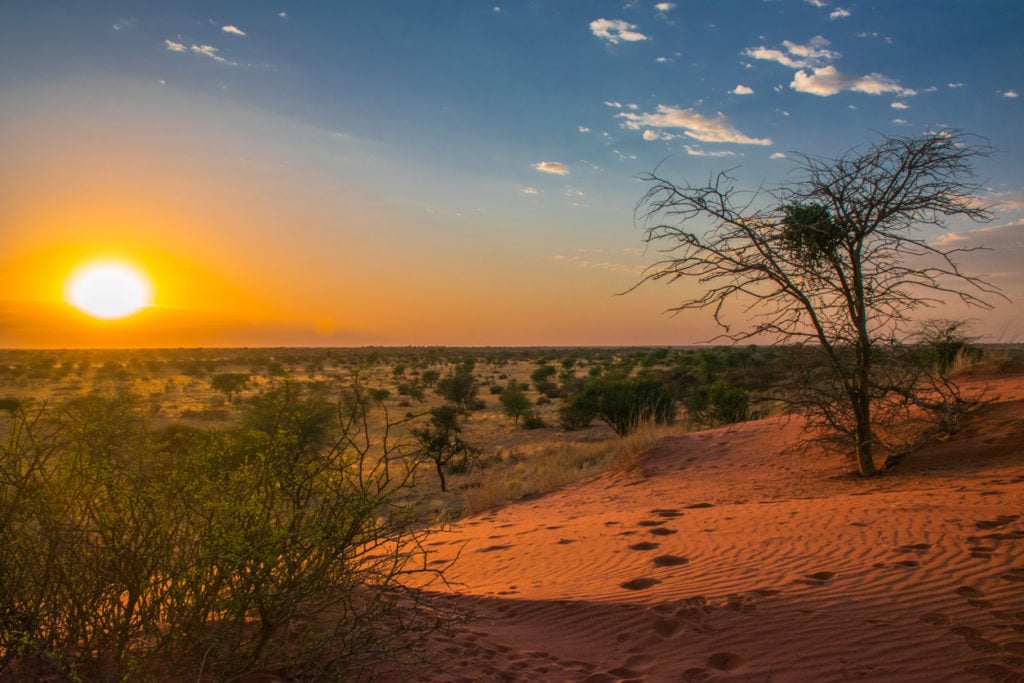 Sonnenaufgang in der Kalahari Wüste, Namibia